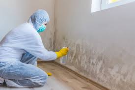 Best Residential Mold Inspection & Testing  in Sherwood, OR