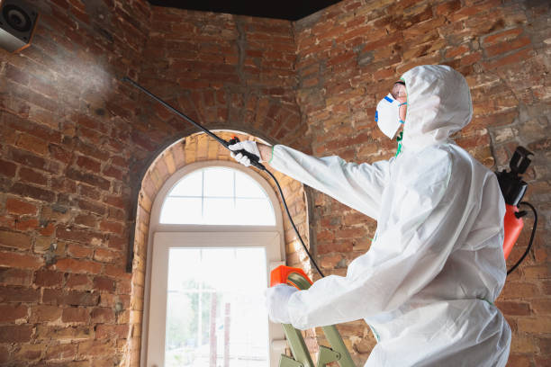 Why You Should Choose Our Mold Remediation Services in Sherwood, OR